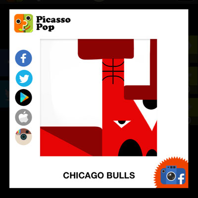  Chicago Bulls 