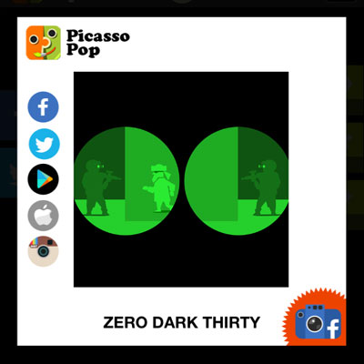  Zero Dark Thirty 